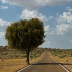 The Road-Trip you need to go: Rediscovering India at 79